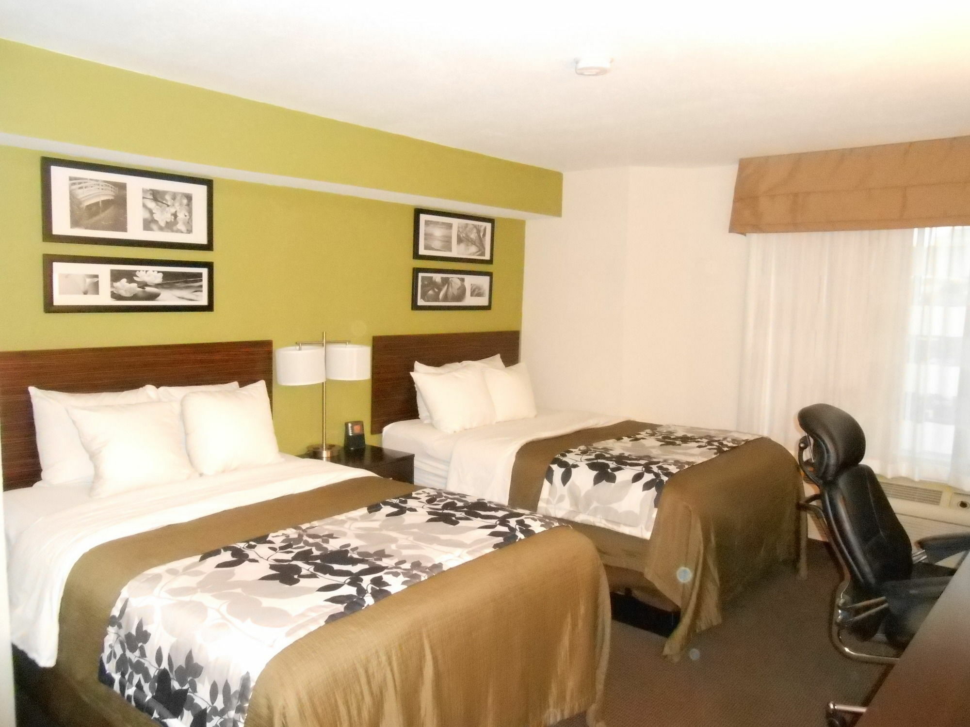 Surestay Plus By Best Western Mesa Superstition Springs Экстерьер фото