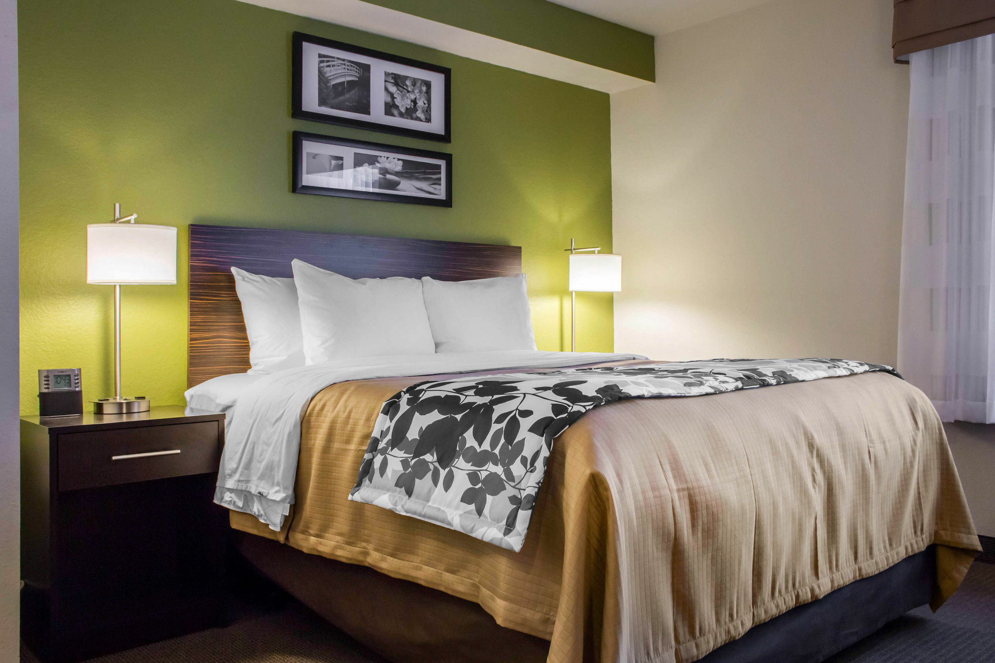 Surestay Plus By Best Western Mesa Superstition Springs Экстерьер фото